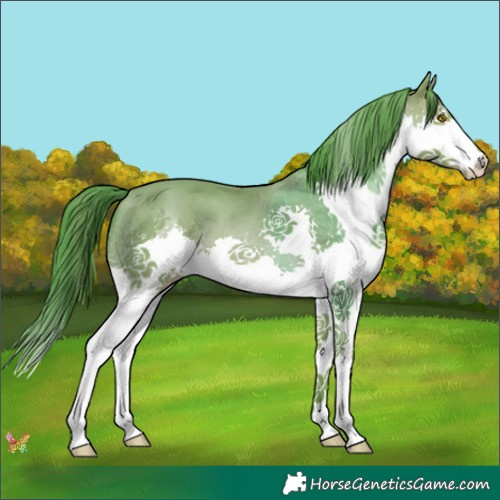 Horse Color:Watercolor Sable Champagne Splash Tobiano 