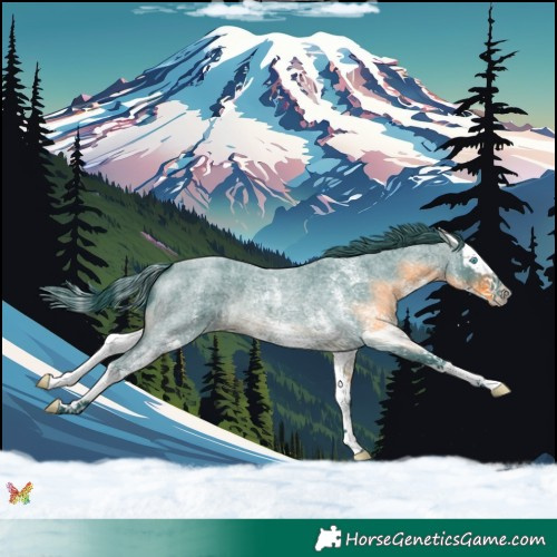 Horse Color:Watercolor White Spotted Brown Roan Splash 