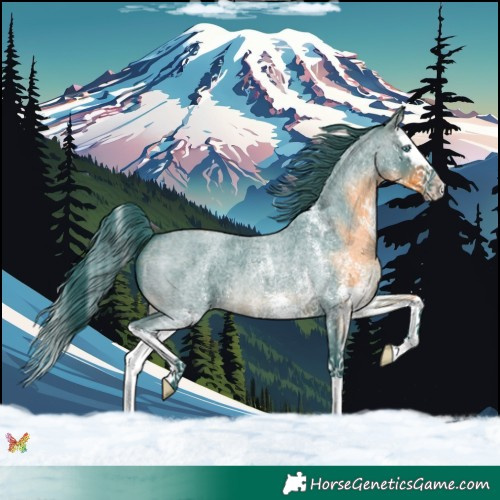 Horse Color:Watercolor White Spotted Brown Roan Splash 
