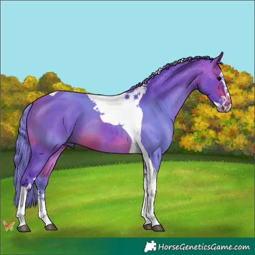 Horse Color:Watercolor Brown Splash Tobiano 