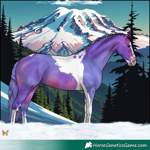 Horse Color:Watercolor Brown Splash Tobiano 