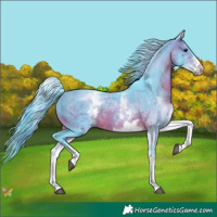 Horse Color:Watercolor White Spotted Brown Tobiano