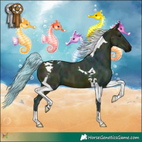 Horse Color:Watercolor Midnight Bay Tobiano