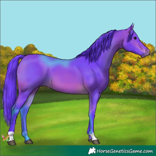 Horse Color:Watercolor Bay 
