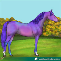 Horse Color:Watercolor Bay 