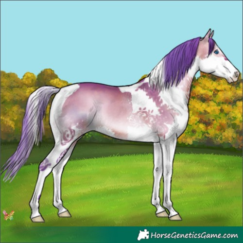Horse Color:Watercolor Bay Onyx Splash Tobiano 