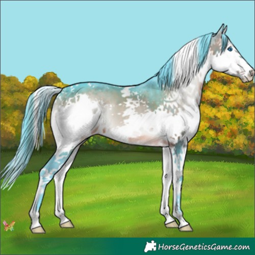 Horse Color:Watercolor Brown Onyx Splash Tobiano 