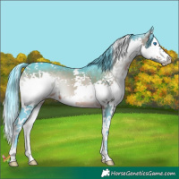 Horse Color:Watercolor Brown Onyx Splash Tobiano