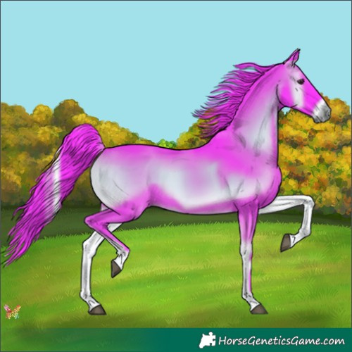 Horse Color:Watercolor Liver Red Onyx 