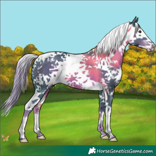 Horse Color:Watercolor Liver Chestnut Splash 