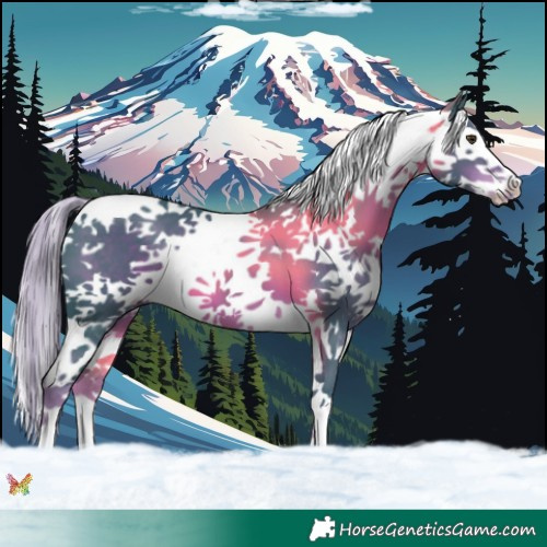 Horse Color:Watercolor Liver Chestnut Splash 