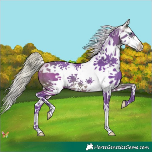 Horse Color:Watercolor White Spotted Silver Brown Splash 