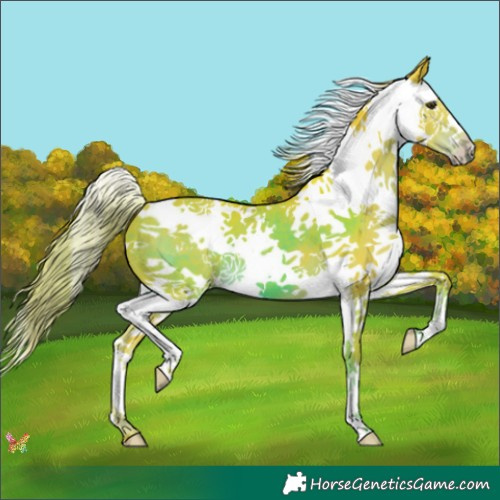 Horse Color:Watercolor Liver Chestnut Splash 