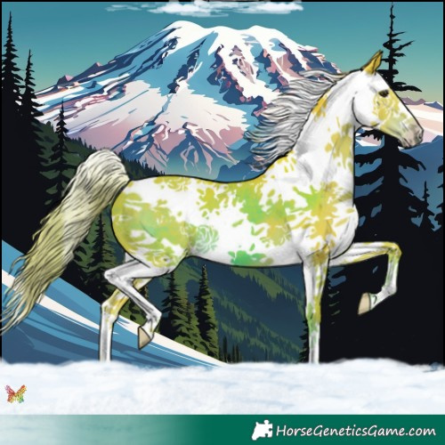 Horse Color:Watercolor Liver Chestnut Splash 