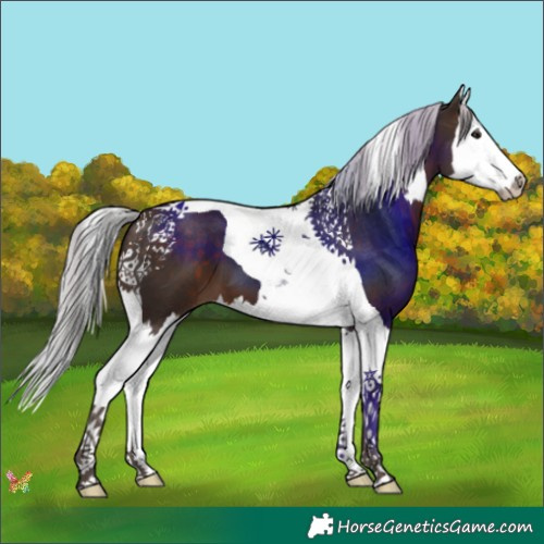 Horse Color:Silver Brown Splash Tobiano 