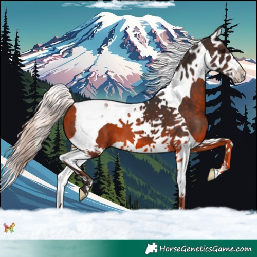 Horse Color:Silver Brown Splash Tobiano 
