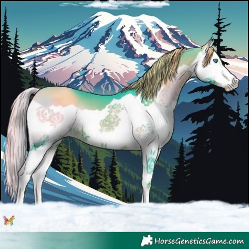 Horse Color:Watercolor Liver Red Onyx Splash 