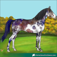 Horse Color:Brown Splash 