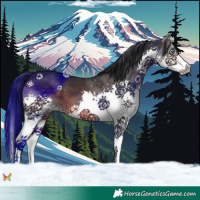 Horse Color:Brown Splash 