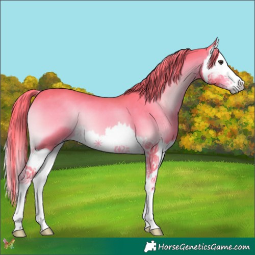 Horse Color:Watercolor Liver Red Onyx Splash 