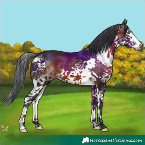 Horse Color:Brown Splash 