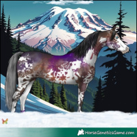 Horse Color:Brown Splash
