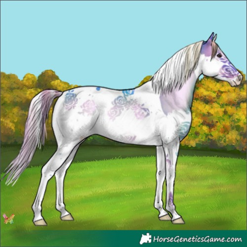 Horse Color:Watercolor Liver Red Onyx Splash Tobiano 