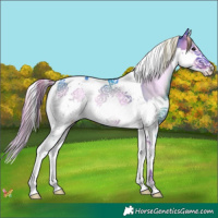 Horse Color:Watercolor Liver Red Onyx Splash Tobiano 