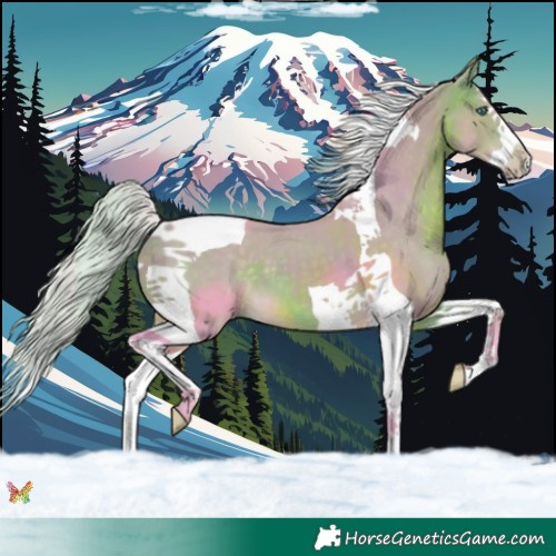 Horse Color:Watercolor Silver Brown Splash Tobiano 