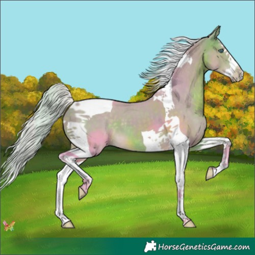 Horse Color:Watercolor Silver Brown Splash Tobiano 
