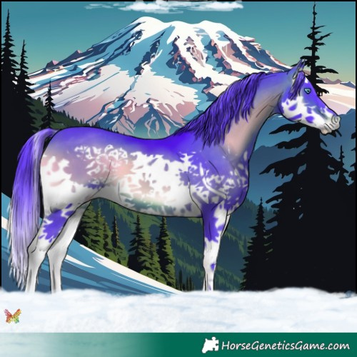 Horse Color:Watercolor Brown Onyx Splash 