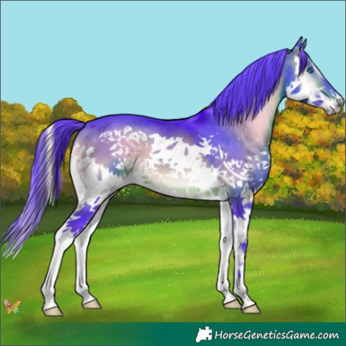 Horse Color:Watercolor Brown Onyx Splash 