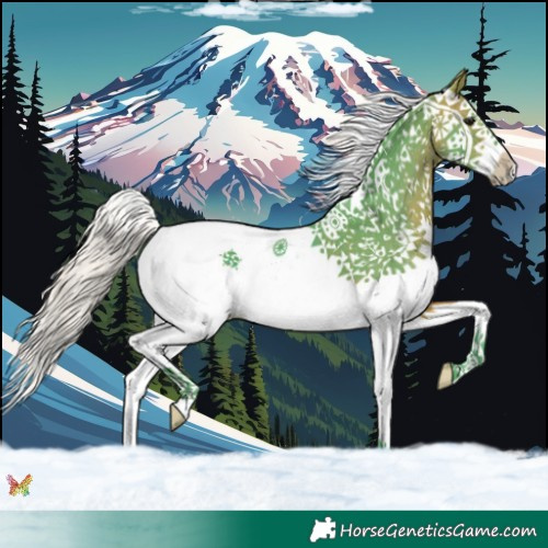 Horse Color:Watercolor Silver Brown Splash 