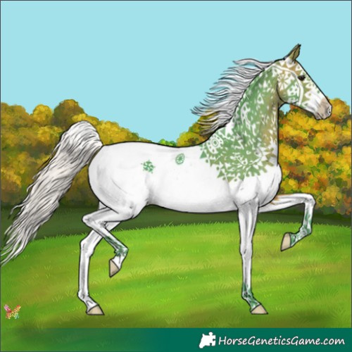 Horse Color:Watercolor Silver Brown Splash 