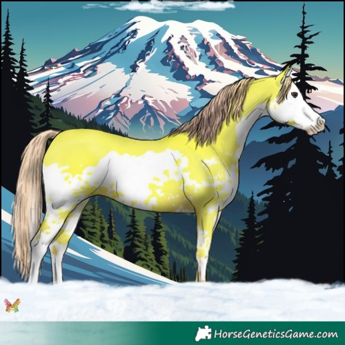 Horse Color:Watercolor Liver Chestnut Splash 