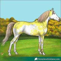 Horse Color:Watercolor Liver Chestnut Splash 
