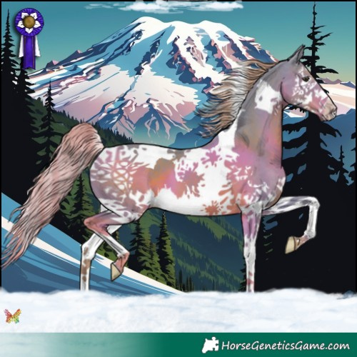 Horse Color:Watercolor Liver Chestnut Splash Tobiano 