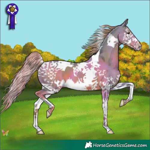 Horse Color:Watercolor Liver Chestnut Splash Tobiano 