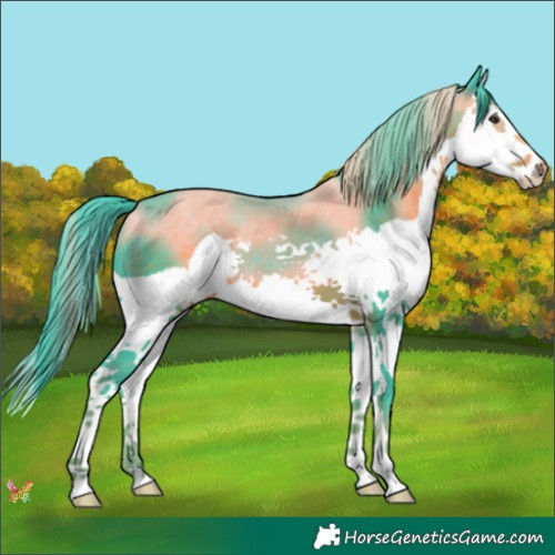 Horse Color:Watercolor Liver Chestnut Splash 