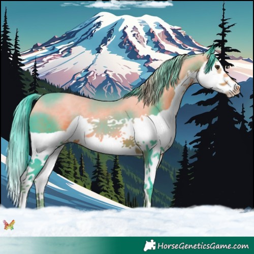 Horse Color:Watercolor Liver Chestnut Splash 