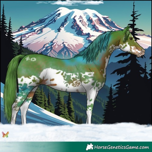 Horse Color:Watercolor Liver Chestnut Splash 
