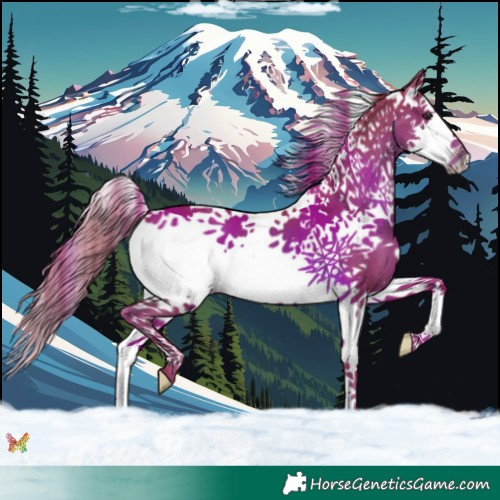 Horse Color:Watercolor Liver Chestnut Splash 