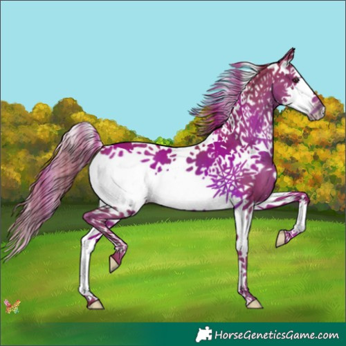 Horse Color:Watercolor Liver Chestnut Splash 
