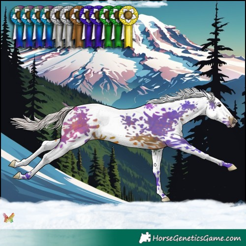 Horse Color:Watercolor Silver Brown Splash 
