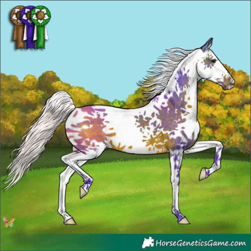 Horse Color:Watercolor Silver Brown Splash 