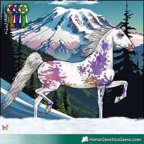 Horse Color:Watercolor Silver Brown Splash 