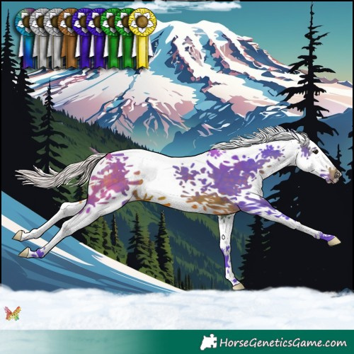 Horse Color:Watercolor Silver Brown Splash 