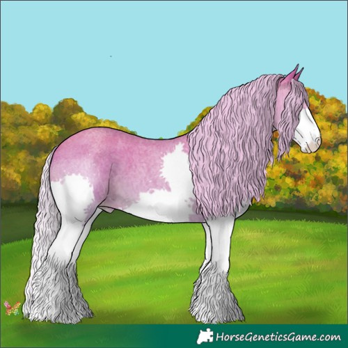 Horse Color:Watercolor Silver Classic Champagne Roan Splash 