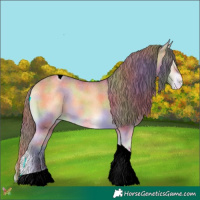 Horse Color:Nacre Buckskin Onyx Tobiano Varnish 