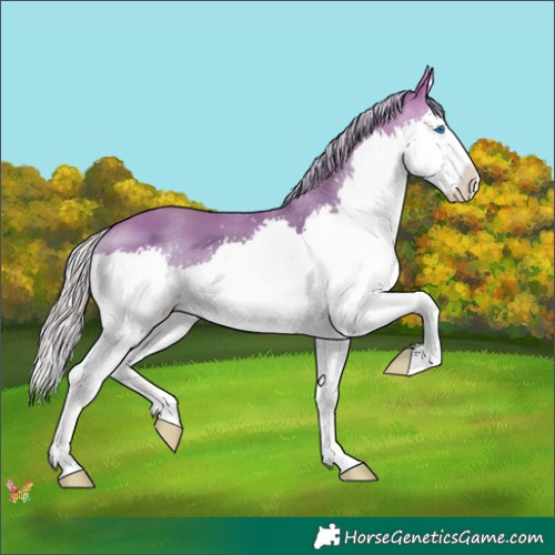 Horse Color:Watercolor Silver Sable Champagne Splash 